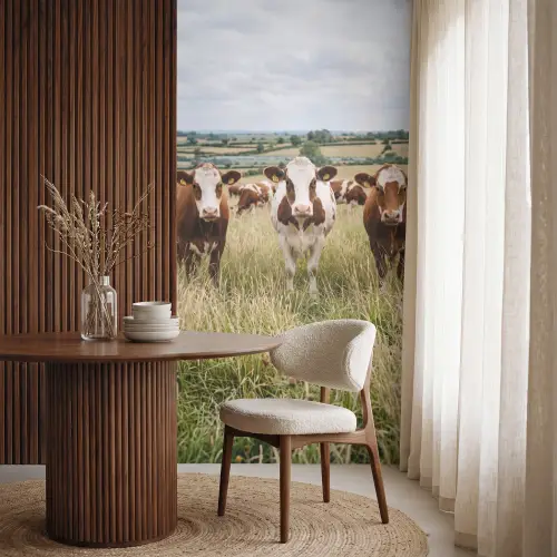 Koeien - Portret - Weide - Boerderij - Nieuwsgierig Behang Vlies klein -sfeer1