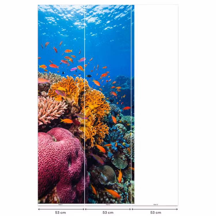 Koraal - Vissen - Oceaan - Natuur - Kleurrijk Behang Vlies klein -USP_banen