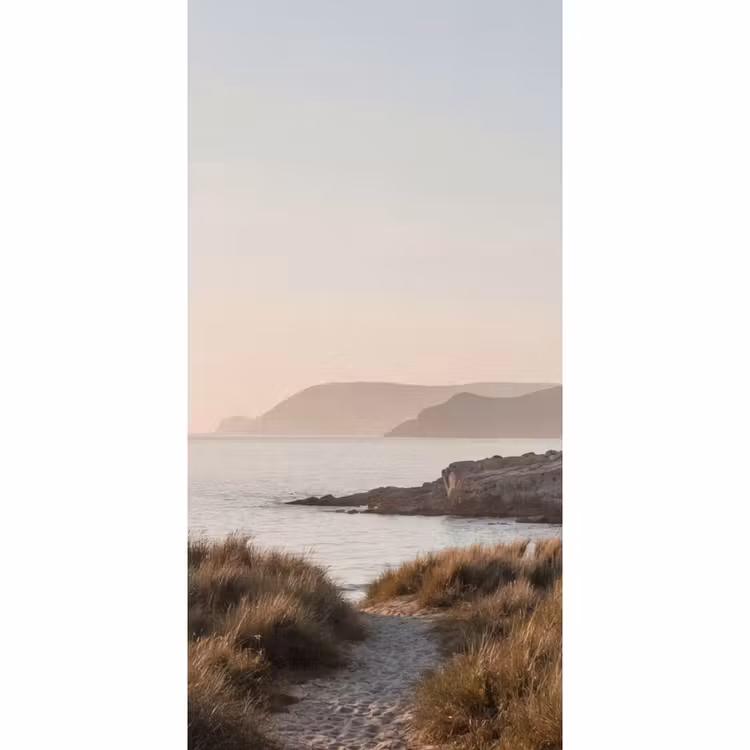 Landschap - Kust - Duinen Behang Vlies klein -3d_website