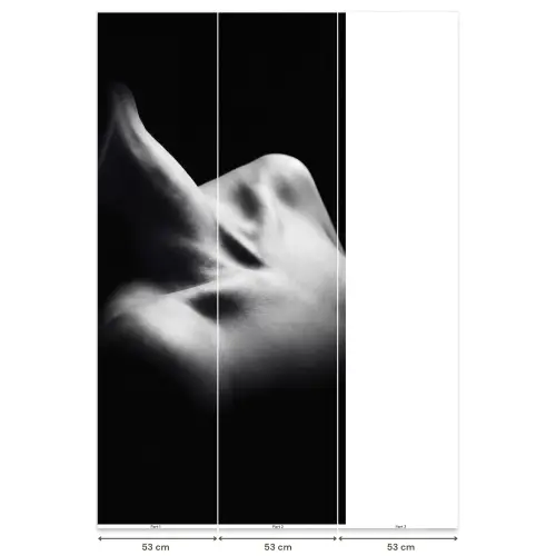 Lichaam - Vormen - Abstract - Zwart - Wit - Sensueel Behang Vlies klein -USP_banen