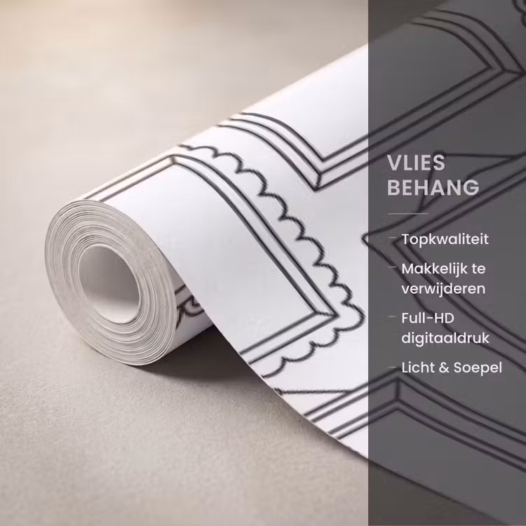 Lijsten - Patroon - Decoratie - Schets - Zwart-wit Behang Vlies klein -USP_closeupNL