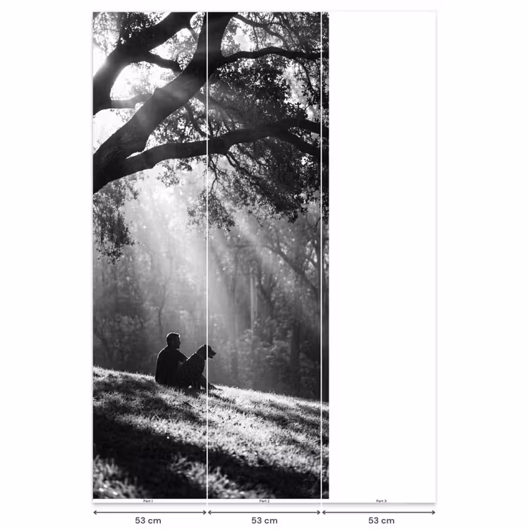 Mens - Hond - Natuur - Zwart-wit - Silhouet Behang Vlies klein -USP_banen