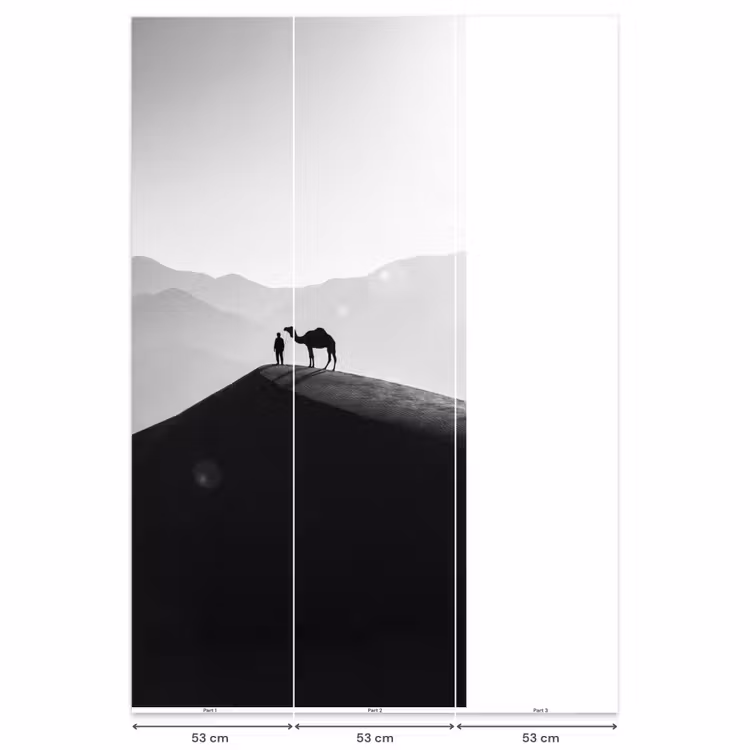 Mens - Kameel - Zandduin - Natuur - Monochroom Behang Vlies klein -USP_banen