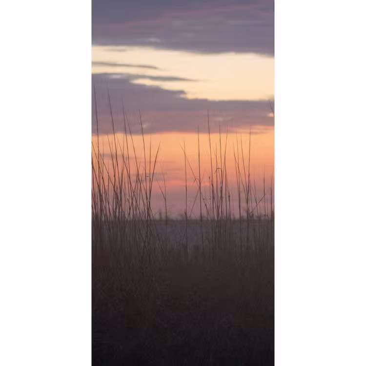 Natuur - Duin - Plant Behang Vlies klein -3d_website