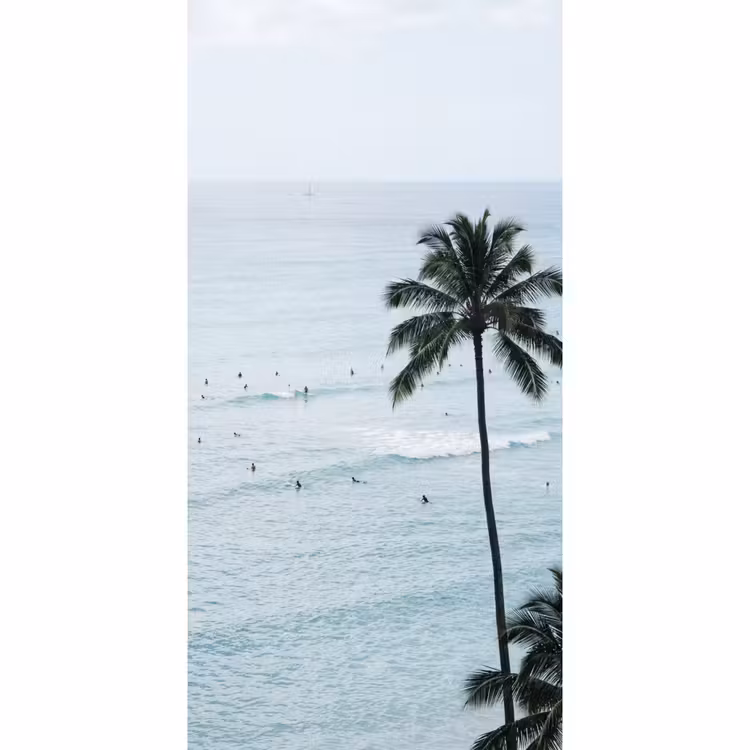 Oceaan - Palmbomen - Surfers Behang Vlies klein -3d_website
