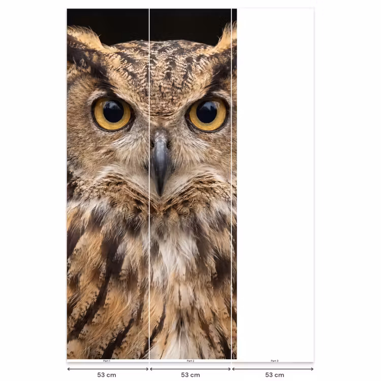 Oehoe - Uil - Portret - Bruin Behang Vlies klein -USP_banen