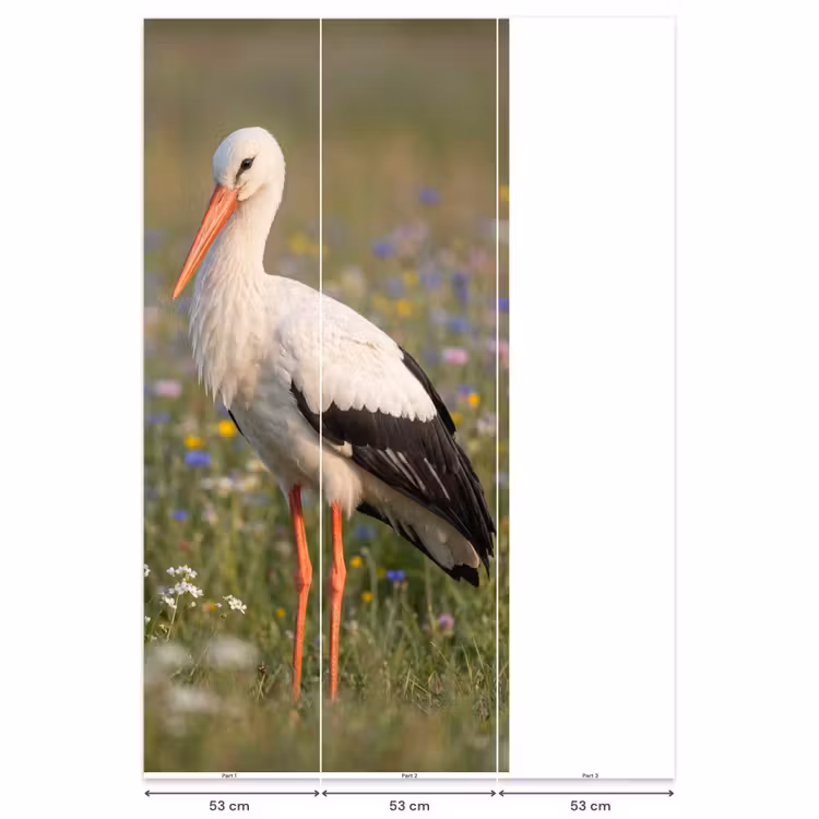 Ooienvaar - Bloemen - Weide - Kleurrijk Behang Vlies klein -USP_banen