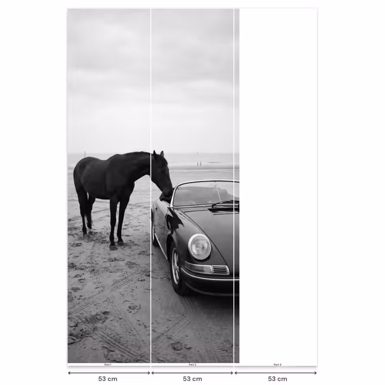 Paard - Auto - Zwart - Wit Behang Vlies klein -USP_banen