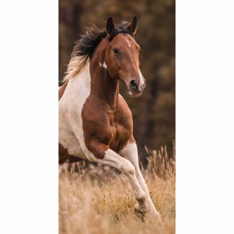 Paard - Bruin - Gras Behang Vlies klein -3d_website