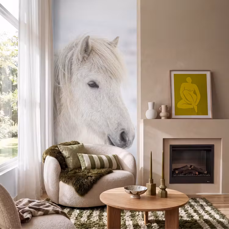 Paard - Kop - Winter - Dieren - Wit Behang Vlies klein -sfeer2