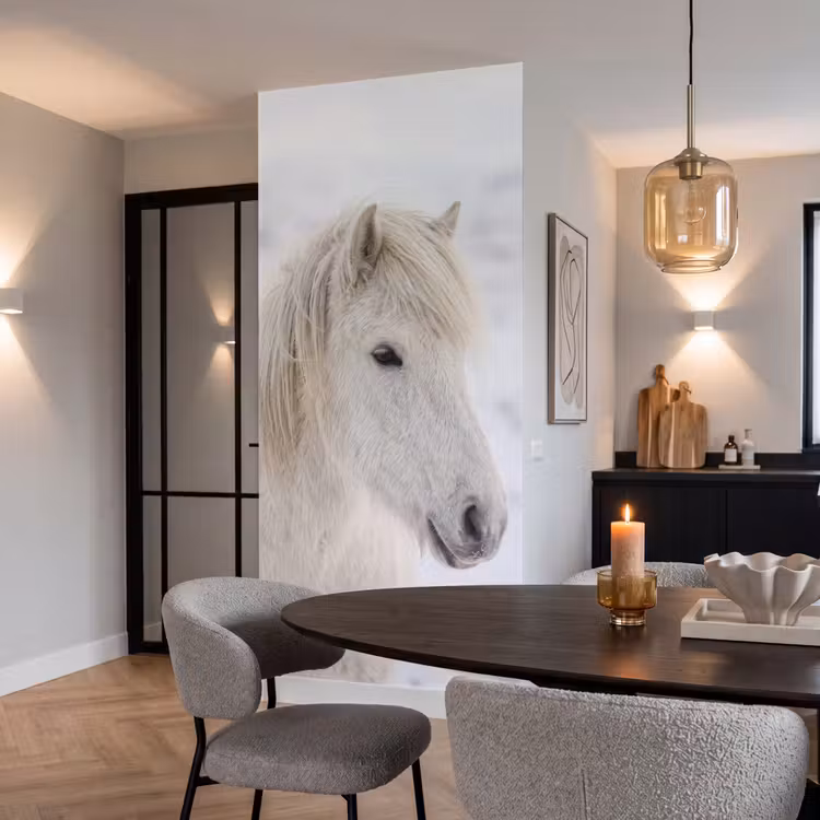Paard - Kop - Winter - Dieren - Wit Behang Vlies klein -sfeer3