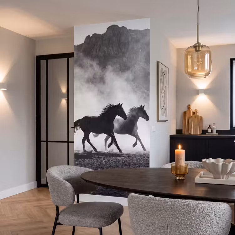 Paard - Ren - Stof - Zwart-wit - Dieren Behang Vlies klein -sfeer3