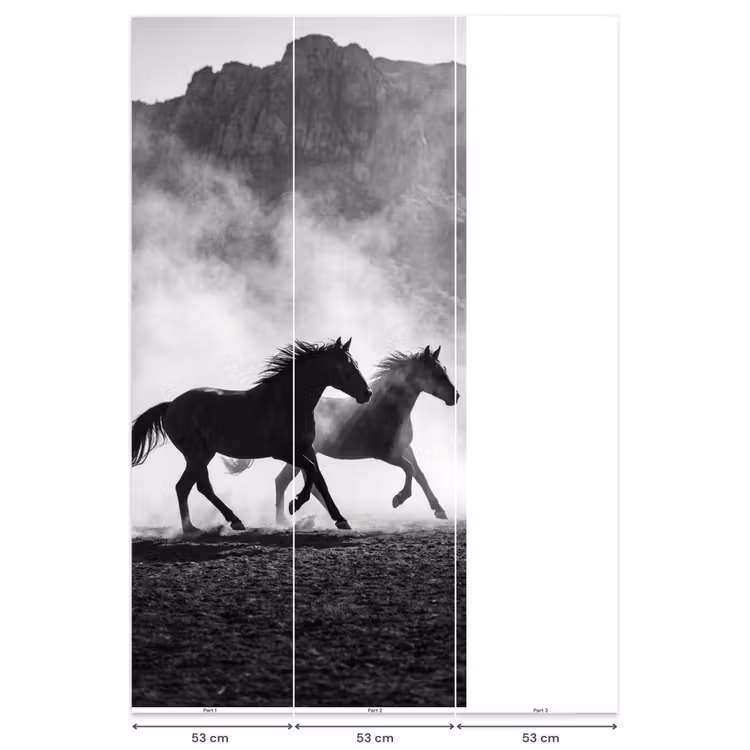 Paard - Ren - Stof - Zwart-wit - Dieren Behang Vlies klein -USP_banen