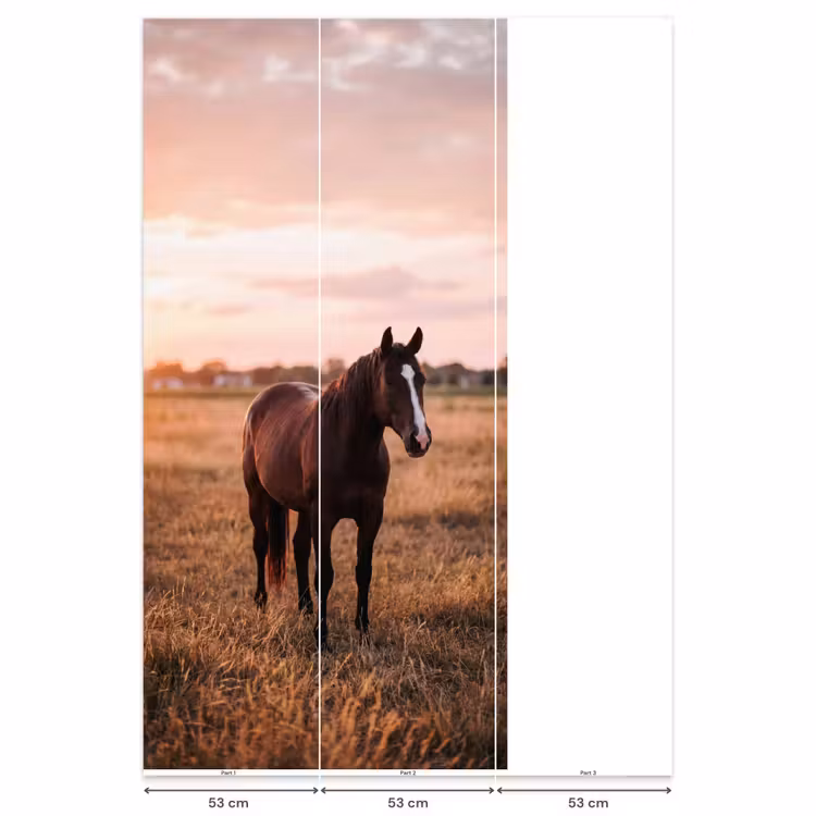 Paard - Zonsondergang - Bruin Behang Vlies klein -USP_banen