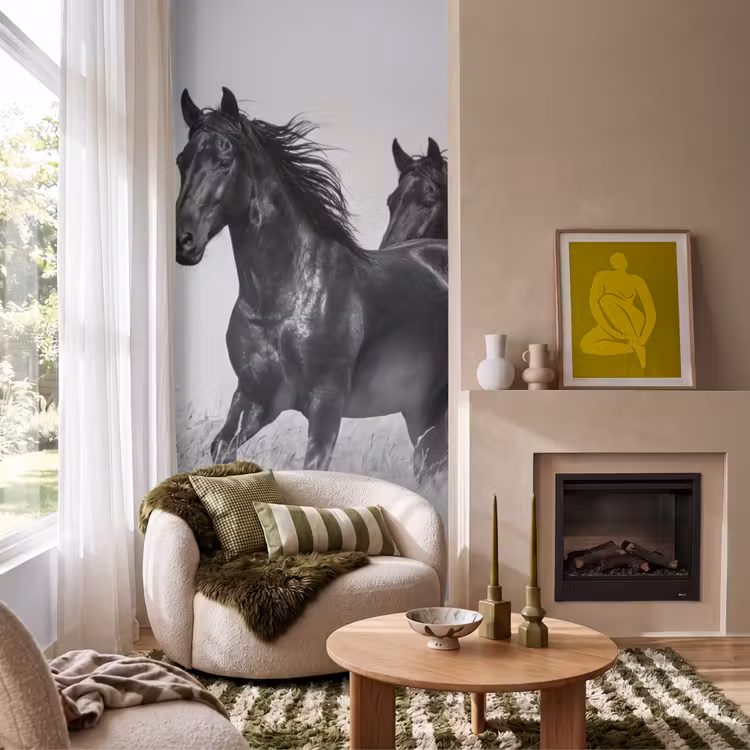 Paarden - Gras - Zwart - Wit Behang Vlies klein -sfeer2
