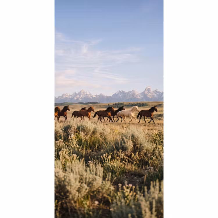 Paarden - Kudde - Bergen - Vrijheid - Wild Behang Vlies klein -3d_website