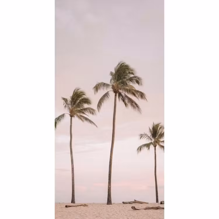 Palmbomen - Zonsondergang - Roze Behang Vlies klein -3d_website