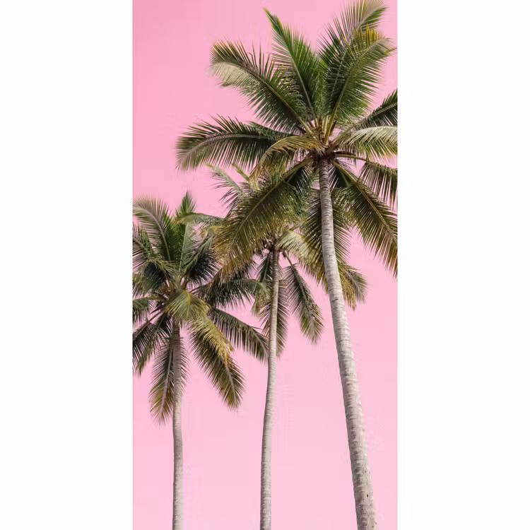 Palmboom - Tropisch - Pink Behang Vlies klein -3d_website