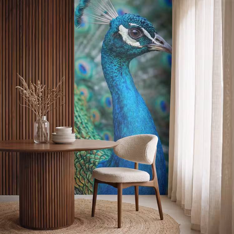 Pauw - Veren - Blauw Behang Vlies klein -sfeer1