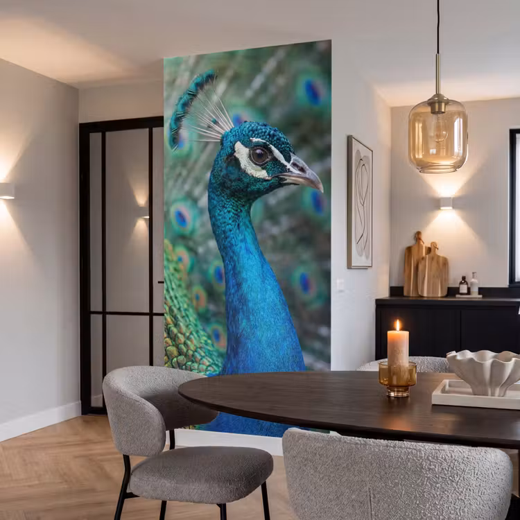 Pauw - Veren - Blauw Behang Vlies klein -sfeer3