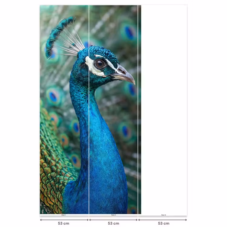 Pauw - Veren - Blauw Behang Vlies klein -USP_banen