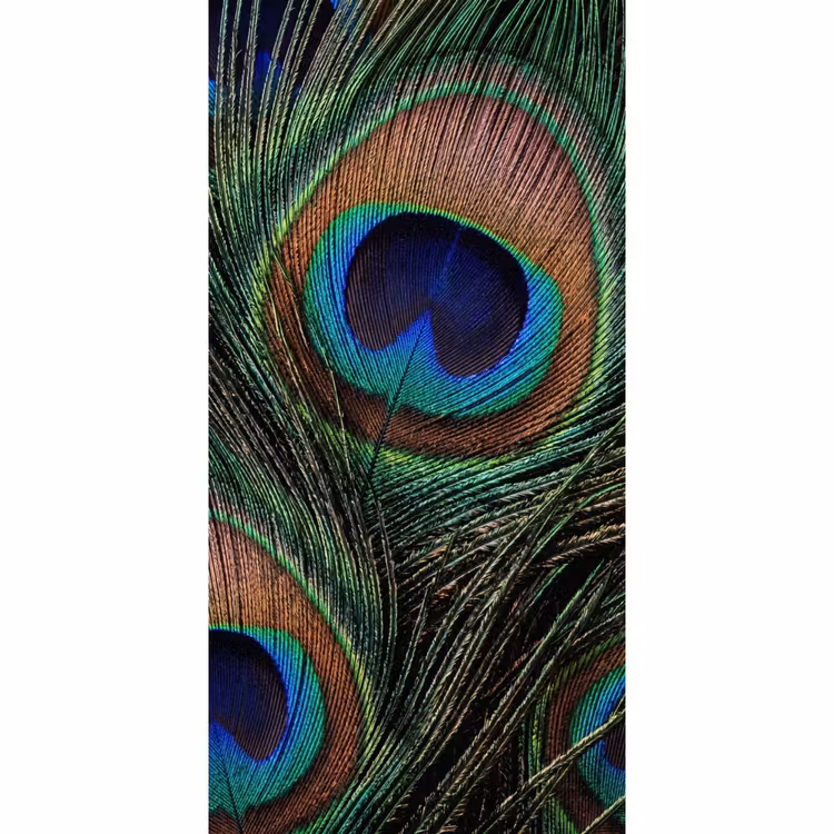 Pauwenveren - Klassiek - Groen Behang Vlies klein -3d_website