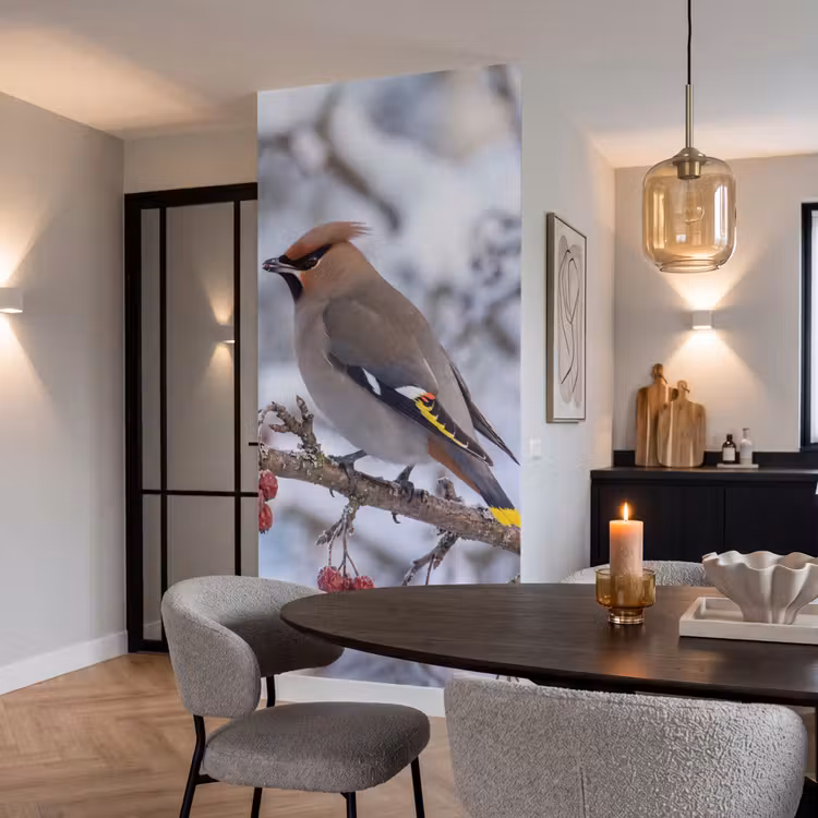 Pestvogel - Bessen - Winter - Natuur Behang Vlies klein -sfeer3