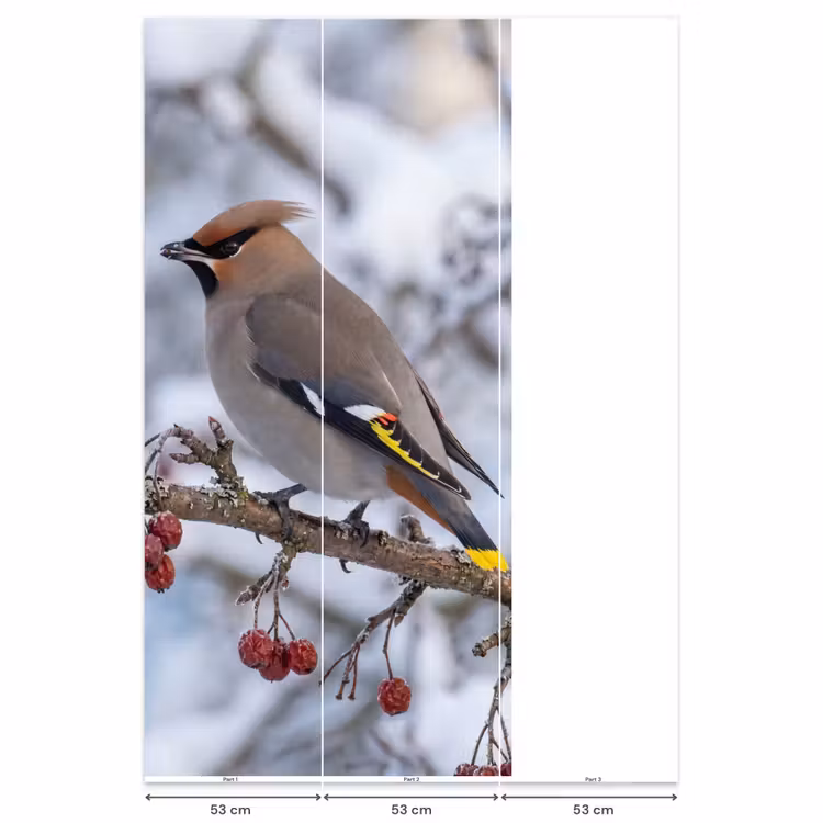 Pestvogel - Bessen - Winter - Natuur Behang Vlies klein -USP_banen