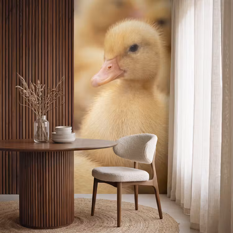 Pijltje - Eend - Natuur - Geel Behang Vlies klein -sfeer1
