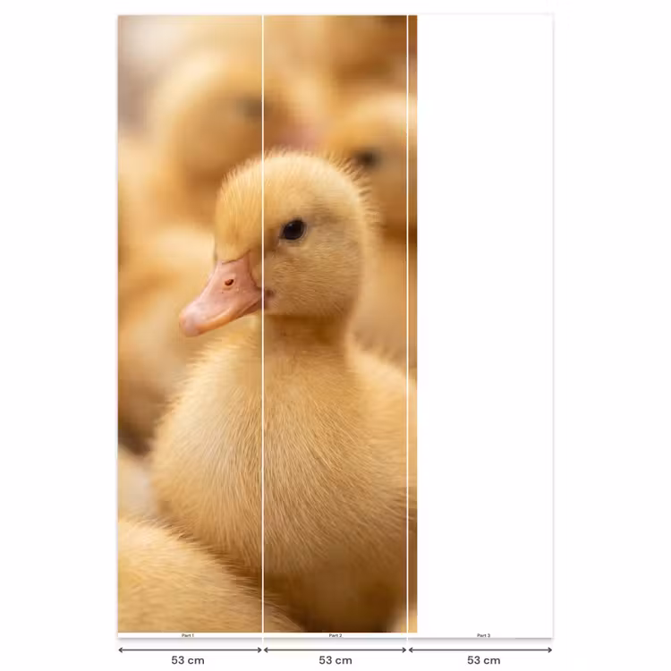 Pijltje - Eend - Natuur - Geel Behang Vlies klein -USP_banen