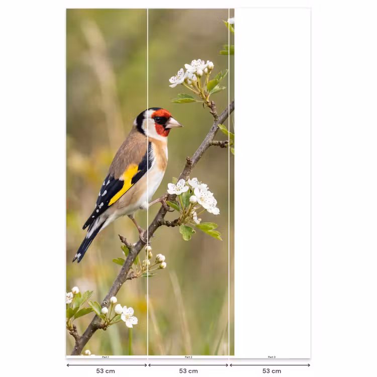 Putter - Bloesem - Lente - Natuur - Kleurrijk Behang Vlies klein -USP_banen