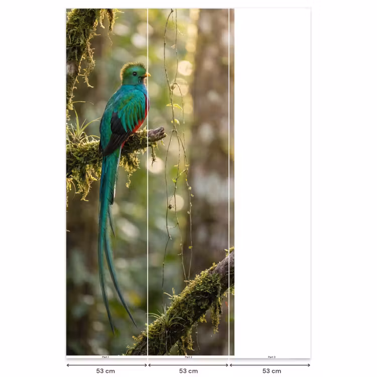 Quetzal - Jungle - Natuur - Groen Behang Vlies klein -USP_banen