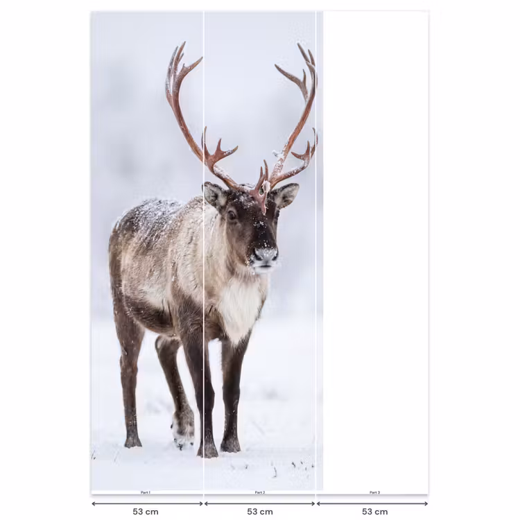 Rendier - Gewei - Toendra - Sneeuw - Wild Behang Vlies klein -USP_banen