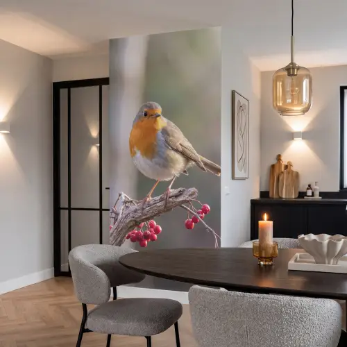 Roodborst - Tak - Bessen - Natuur Behang Vlies klein -sfeer3