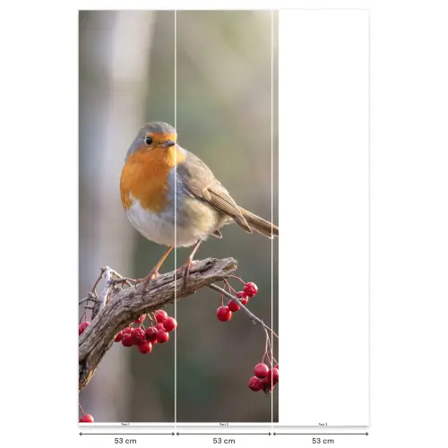 Roodborst - Tak - Bessen - Natuur Behang Vlies klein -USP_banen