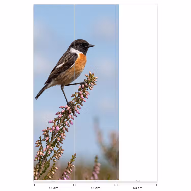 Roodborsttapuit - Heide - Paars - Natuur - Sfeervol Behang Vlies klein -USP_banen