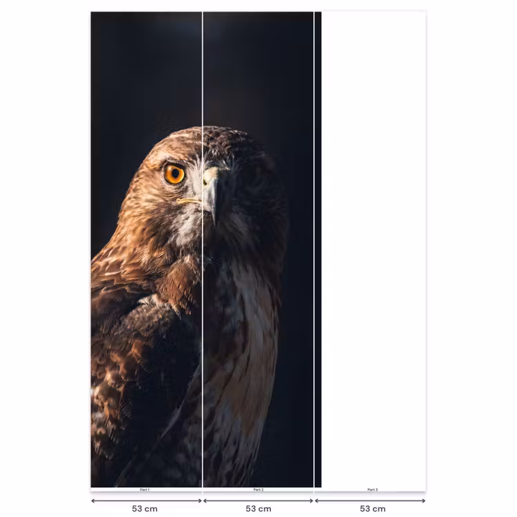Roofvogel - Buizerd - Bruin Behang Vlies klein -USP_banen