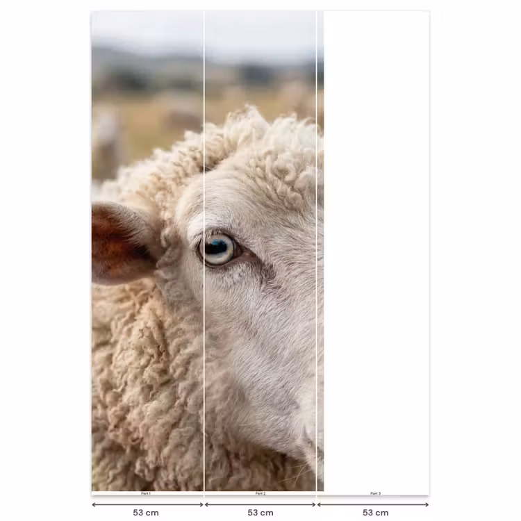 Schaap - Oog - Wit Behang Vlies klein -USP_banen