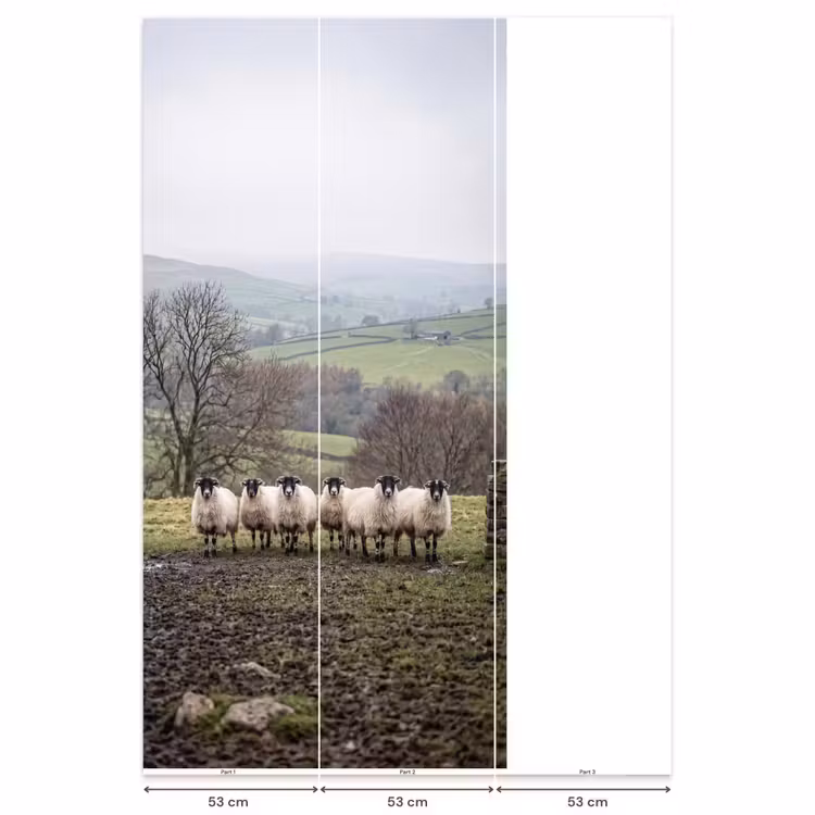 Schapen - Rij - Weide - Dieren - Platteland Behang Vlies klein -USP_banen