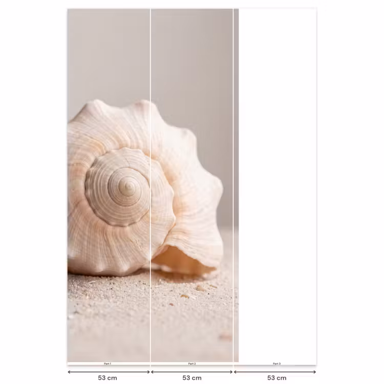 Schelp - Detail - Beige Behang Vlies klein -USP_banen