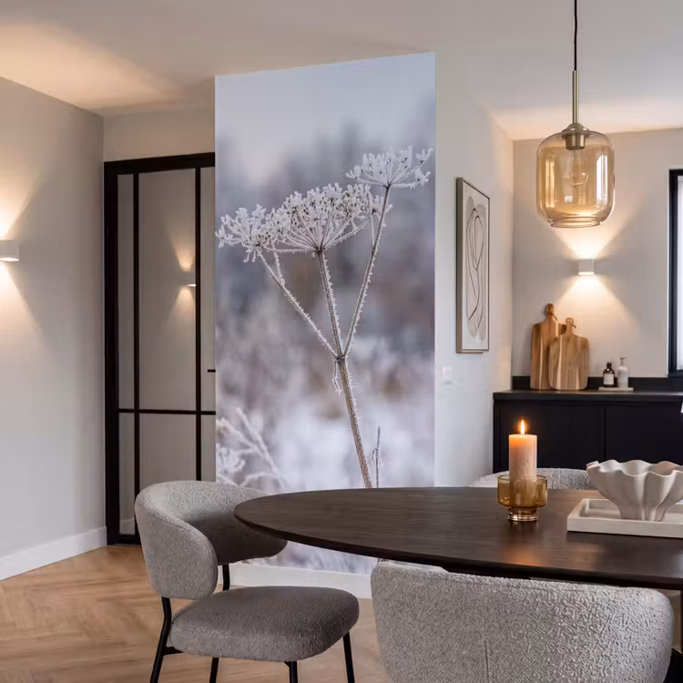 Schermbloem - Rijp - Kristallen - Winter - Delicaat Behang Vlies klein -sfeer3