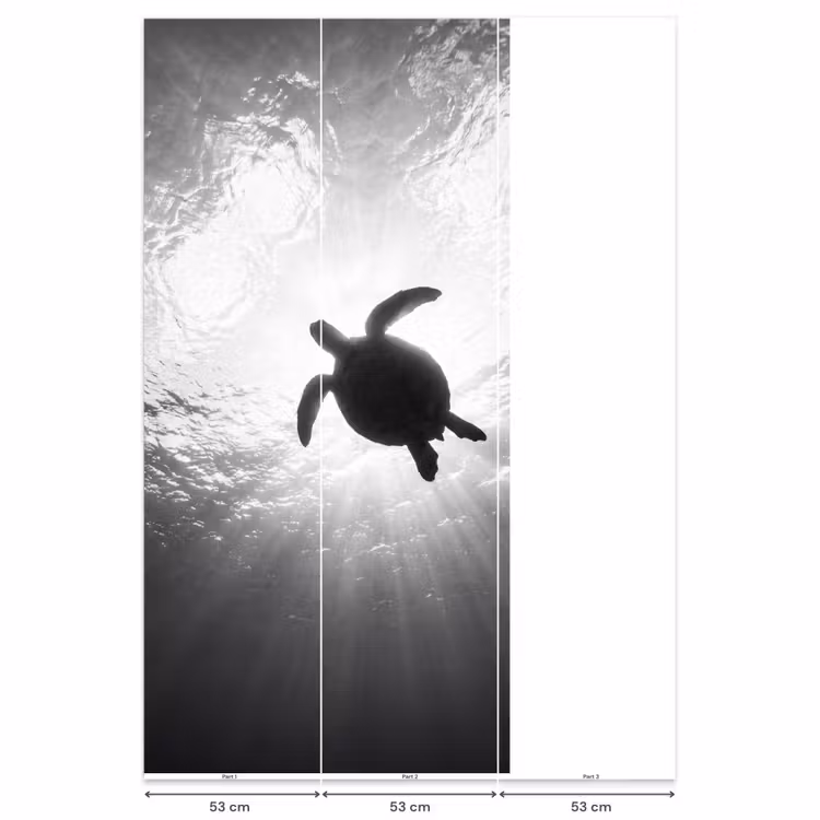 Schildpad - Onderwater - Lichtstralen - Oceaan - Zwart-wit Behang Vlies klein -USP_banen