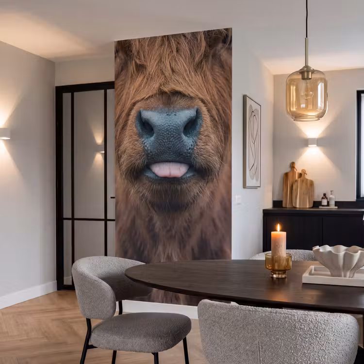 Schotse hooglander - Neus - Bruin Behang Vlies klein -sfeer3