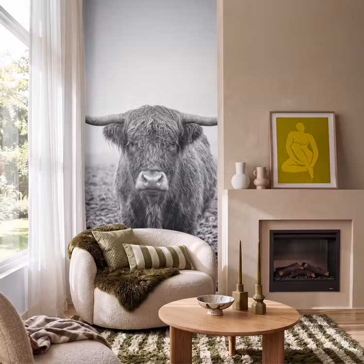 Schotse hooglander - Zwart - Wit - Gras Behang Vlies klein -sfeer2