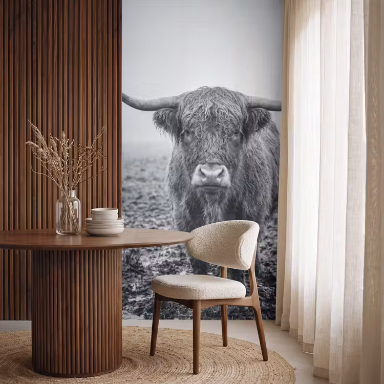 Schotse hooglander - Zwart - Wit - Gras Behang Vlies klein -sfeer1