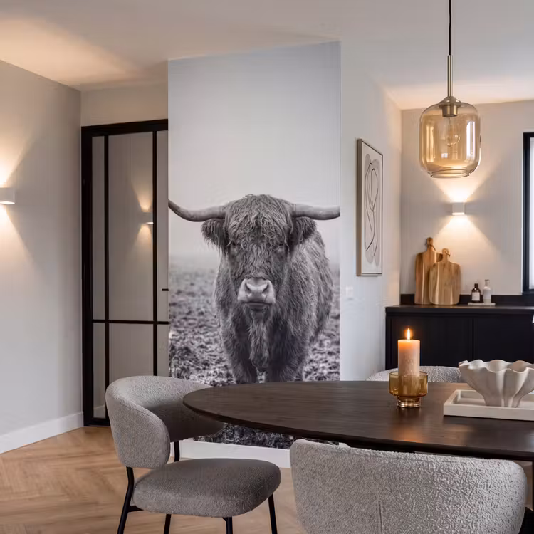 Schotse hooglander - Zwart - Wit - Gras Behang Vlies klein -sfeer3