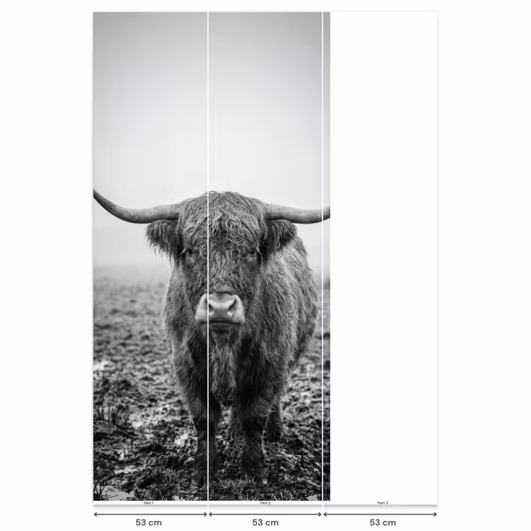 Schotse hooglander - Zwart - Wit - Gras Behang Vlies klein -USP_banen
