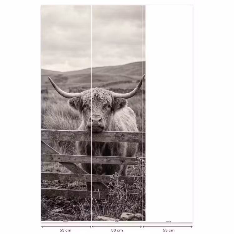 Schotse hooglander - Zwart - Wit - Hout Behang Vlies klein -USP_banen