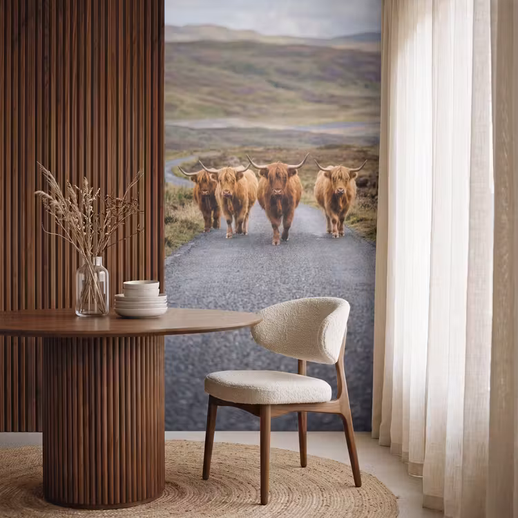 Schotse Hooglanders - Weg - Landschap - Kudde Behang Vlies klein -sfeer1