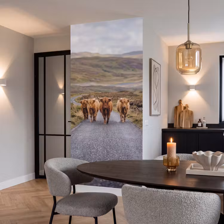 Schotse Hooglanders - Weg - Landschap - Kudde Behang Vlies klein -sfeer3